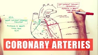 Coronary Arteries  Anatomy Tutorial [upl. by Anse]