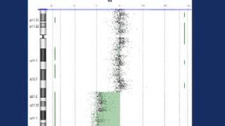 What is microarray analysis [upl. by Danuloff]