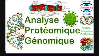 Proteome et Genome Analyse génomique protéomique interaction des protéines ligands bioinformatique [upl. by Nnylassej]