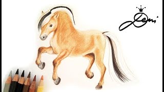 🐴 Fjord Pferd zeichnen lernen 🐎 Fjordpferd malen 🐴 How to Draw a Horse 🐎 Как да нарисуваме кон [upl. by Jeritah494]