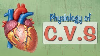 Easy Physiology  CVS  ECG 1Introduction amp ECG Leads [upl. by Feriga266]