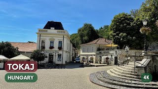 Tokaj  Walking in Hungary [upl. by Papert707]