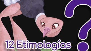 12 Palabras de origen curioso  etimologías [upl. by Elianora]