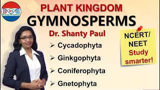 Gymnosperms  Plant kingdom [upl. by Llennhoj]