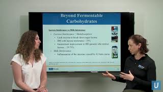 Lactase amp the Mechanism of Lactose Intolerance [upl. by Preiser]