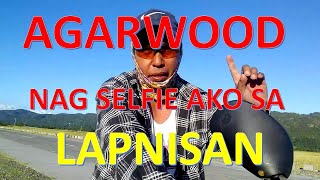 AGARWOOD LAPNISAN in the PHILIPPINES THE REALITY ABOUT IT [upl. by Sesmar563]