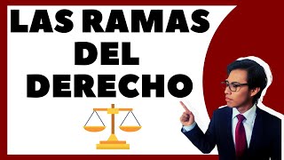 ¿Cuáles son las ramas del derecho [upl. by Uzziel]